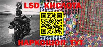 ПСИЛОЦИБИНОВЫЕ ГРИБЫ Дмитров