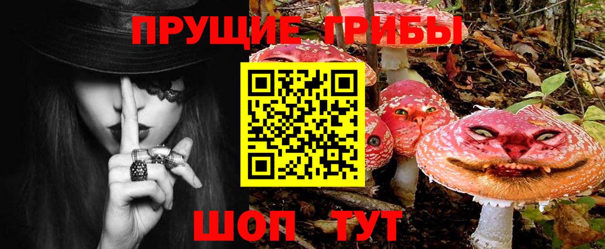 Гурьевск  Галлюциногенные грибы Magic Shrooms  Галлюциногенные грибы мицелий  Вход с VPN 
